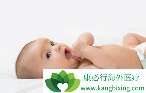 关于素竹生殖